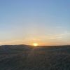 jellybean_s